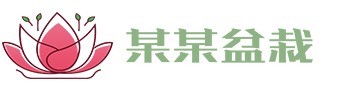 腾博会官方网站·专业服务,诚信为本